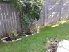 backyard-2