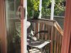 backyard-5