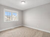 230-willow-aster-circle-11